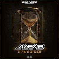 Alex B - All You've Got Is Now