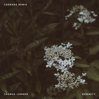 Thomas Lemmer - Serenity (Cosmaks Remix)