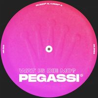 Pegassi - Wat Is Die Mo?