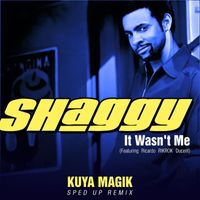 Shaggy - It Wasn't Me (Sped Up)
