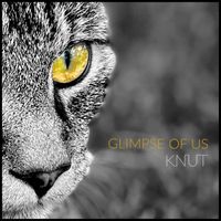 Knut - Glimpse of Us