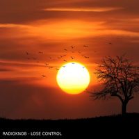 Radioknob - Losing Control
