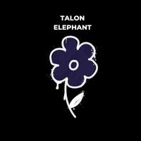 Talon - Elephant