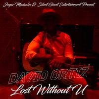 David Ortiz - Lost Without U