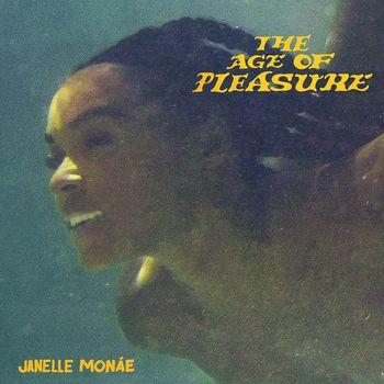 Janelle Monáe - The Age of Pleasure