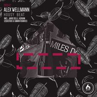 Alex Wellmann - Housy Beat