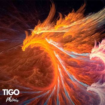 Tigo - Phönix