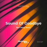 Andrey Exx - Sound Of Goodbye
