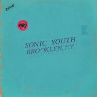 Sonic Youth - Death Valley '69 (Live in Brooklyn, Ny)