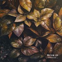 invention_ - Arize