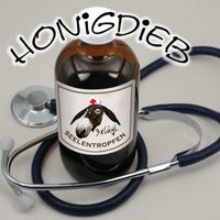 Honigdieb - Seelentropfen