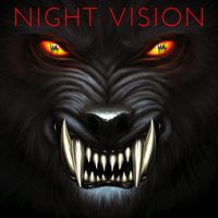 Heavy Metal Settles - Night Vision