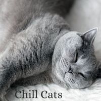 Cat Music - Chill Cats