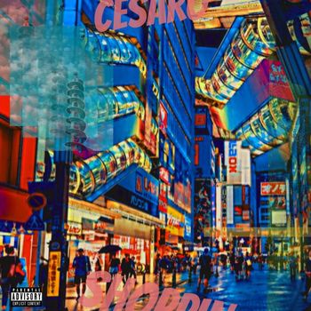 Cesaro - Shoppin