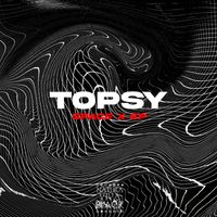 Topsy - Space X