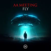 AA Meeting - Fly
