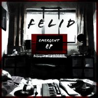 FeLid - Emergent (Explicit)