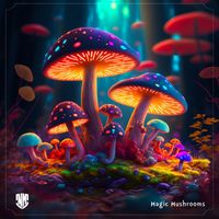 Nolan Mac - Magic Mushrooms