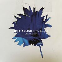Dot Allison featuring Andy Bell - Unchanged (GLOK Remix)