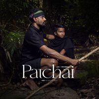 ADK - Patchai