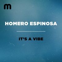 Homero Espinosa - It's A Vibe