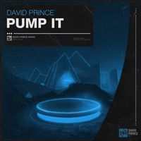 David Prince DJ - Pump It (Extended Mix)