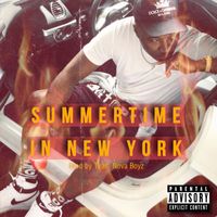 Troy Ave - Summertime in New York (Explicit)