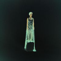 Ginevra Nervi - An Interior of Strange Beauty / Incoming Call