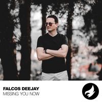 Falcos Deejay - Missing You