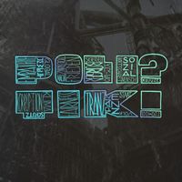 Robsn - Politik