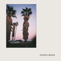 Ilgen-Nur - Purple Moon