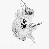 Intriguant - Recluse (Explicit)