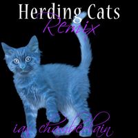 Ian Chamberlain - Herding Cats (Remix)