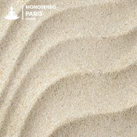 Monosenso - Paris