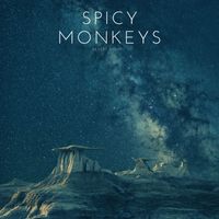 Spicy Monkeys - Desert Night
