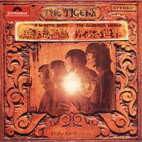 The Tigers - A White Dove