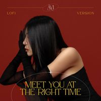 Avi - Meet You At The Right Time (Lofi Version)