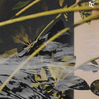 Jmss - Angel