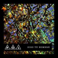 Pol - Sigo Tu Nombre