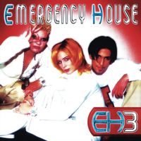 Emergency House - Eh3