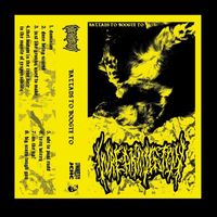 Wreaking Joy - Ballads to Boogie To (Explicit)