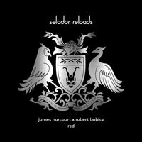 Robert Babicz - Red (James Harcourt Remix)