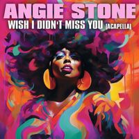 Angie Stone - Wish I Didn't Miss You (Re-Recorded) [Acapella] - Single