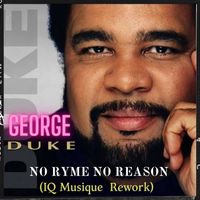 George Duke - No Ryme No Reason (IQ Musique Rework)