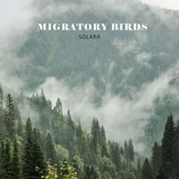 Solara - Migratory Birds