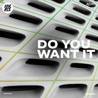 ACAY - Do You Want It