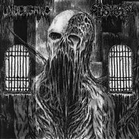 Spectral Voice and Undergang - Split LP