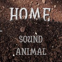 Sound Animal - Home