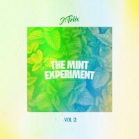 J-Felix - THE MiNT EXPERiMENT Volume 2