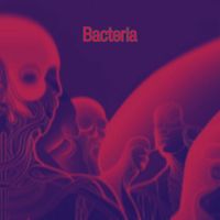 VyOk - Bacteria (Explicit)